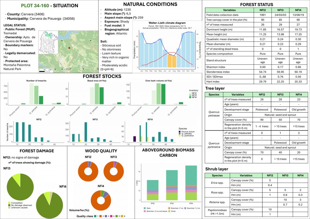 Enhancing Forest Data Exploration with the New Forest Explorer Dashboard