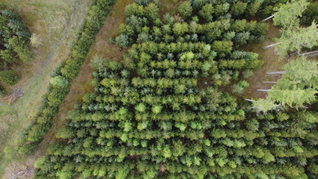 Interviews in Basel Region Inform New Approaches to Engaging Small Forest Owners